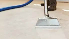 Carpet cleaning wand head gliding over a light carpet during hot-water extraction, Fort Collins, CO.