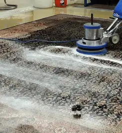Professional rug cleaning with a rotary floor machine and shampoo foam, deep-cleaning an area rug Fort Collins, CO.